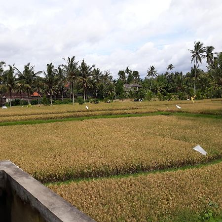 Umah Dangin Guest House Ubud Esterno foto